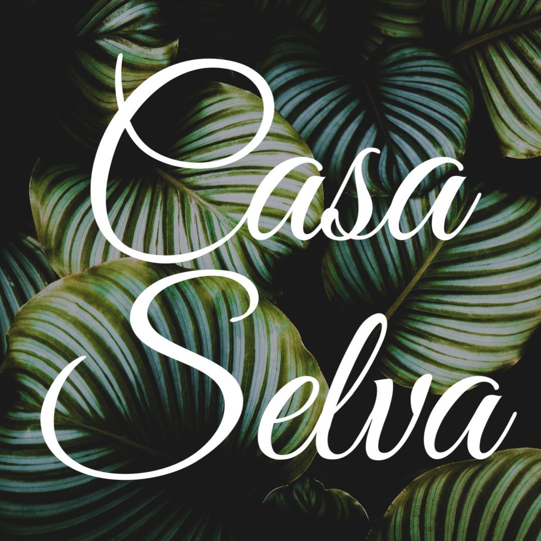 C A S A S E L V A